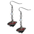 Minnesota Wild® Crystal Dangle Earrings